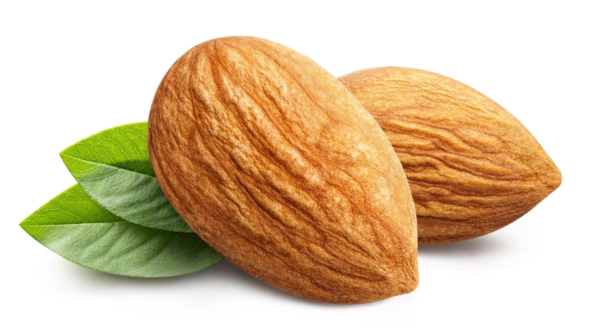 Almond