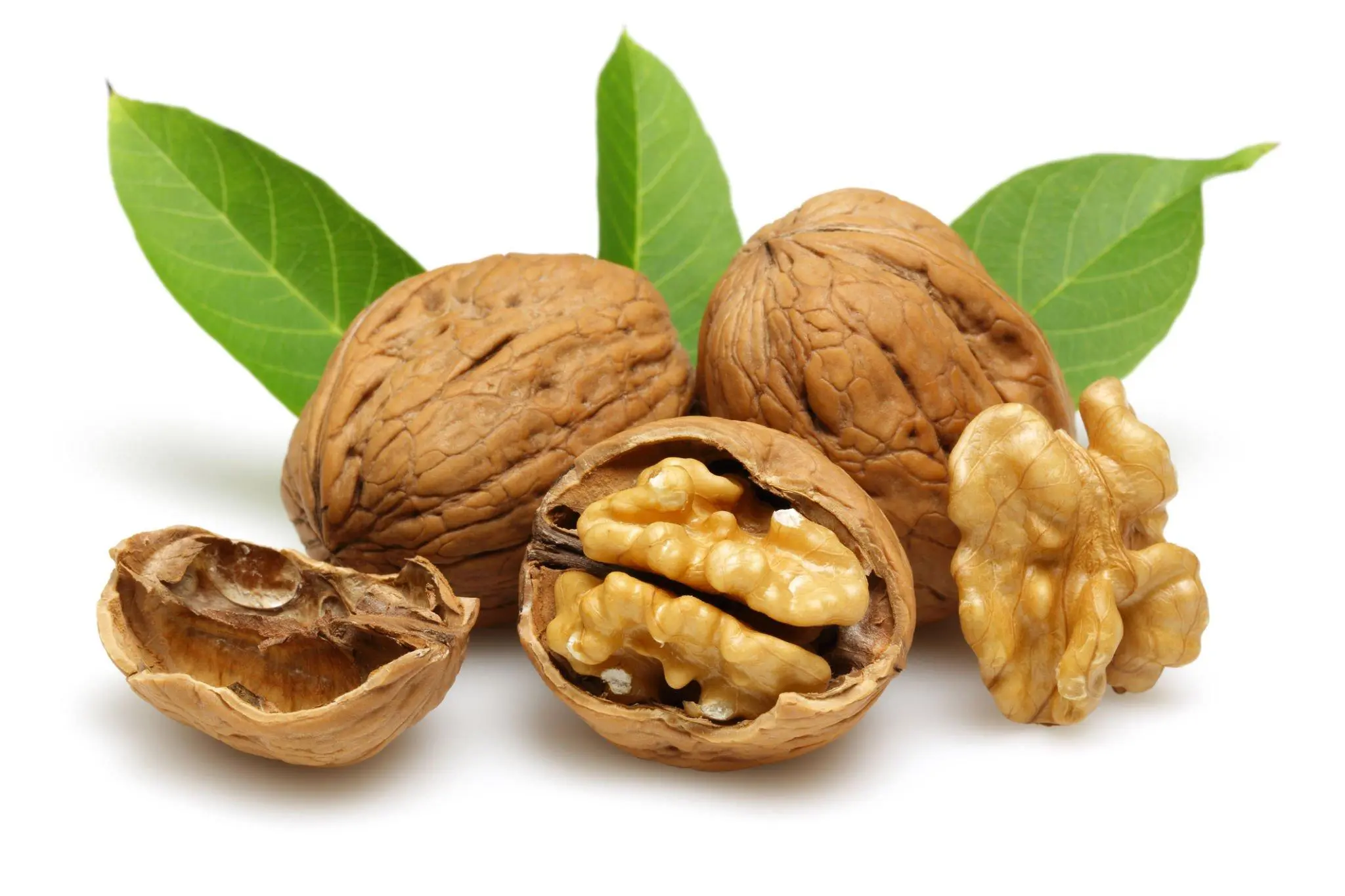 Kashmiri Walnuts